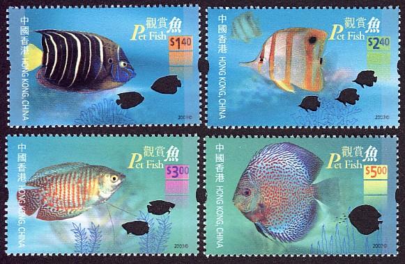 Pet Fish - Non-native fish of Hong Kong